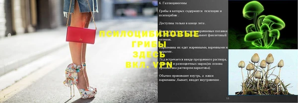соль ск Пересвет