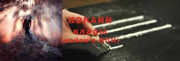 кокс Алексин