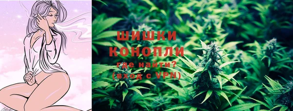 дмт Пестово