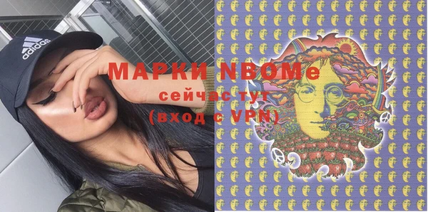 прущие грибы Переславль-Залесский
