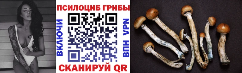 Псилоцибиновые грибы GOLDEN TEACHER  Кизел 